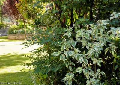 Balsamini Giardinieri - Giardini (12)