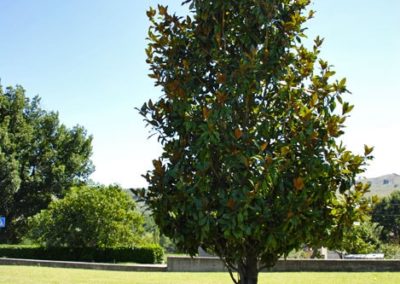 Balsamini Giardinieri - Giardini (18)