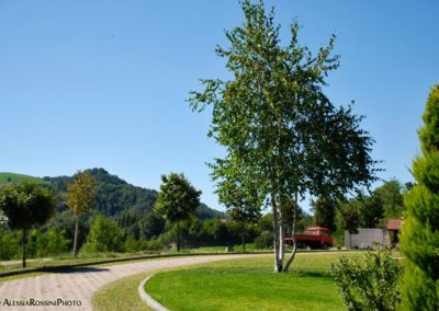 Balsamini Giardinieri - Giardini (22)