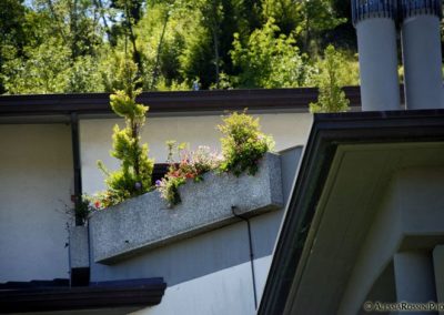 Balsamini Giardinieri - Giardini (26)