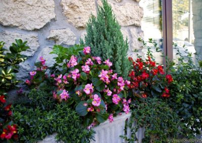 Balsamini Giardinieri - Giardini (29)