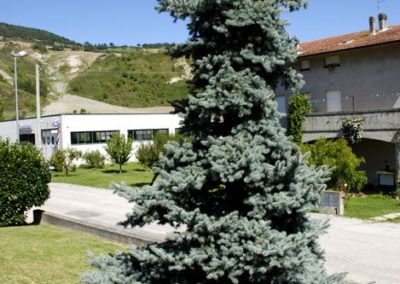 Balsamini Giardinieri - Giardini (33)