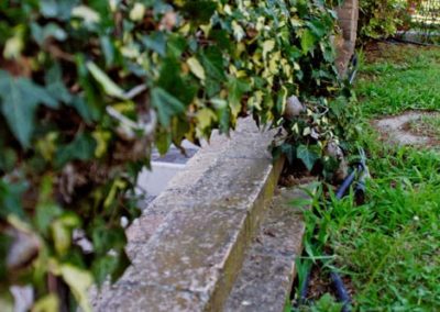 Balsamini Giardinieri - Giardini (4)
