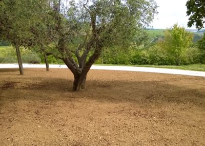 Balsamini Giardinieri - Giardini (40)