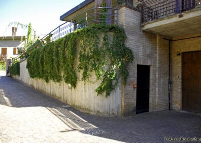 Balsamini Giardinieri - Giardini (5)