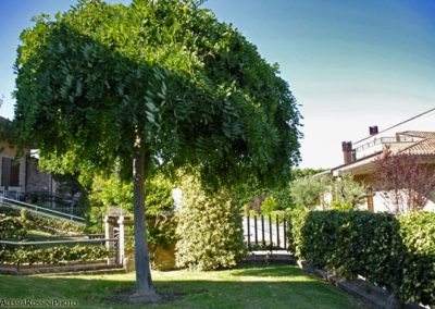 Balsamini Giardinieri - Giardini (6)