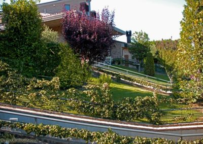 Balsamini Giardinieri - Giardini (8)
