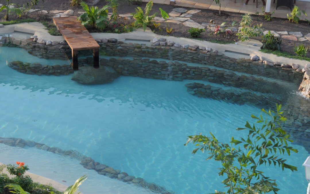 Progettazione di una piscina interrata naturale